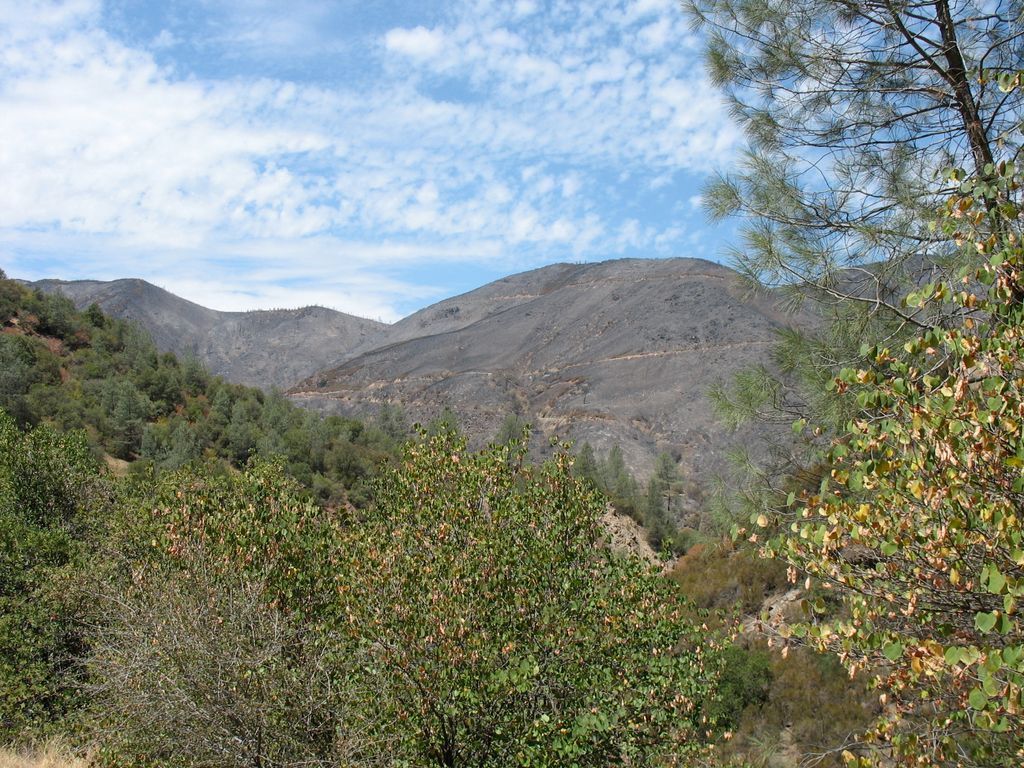 img_0448.jpg (large)