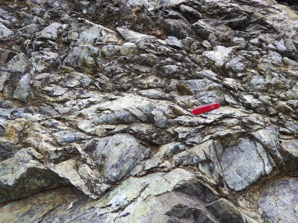 p1090137e.jpg (large)